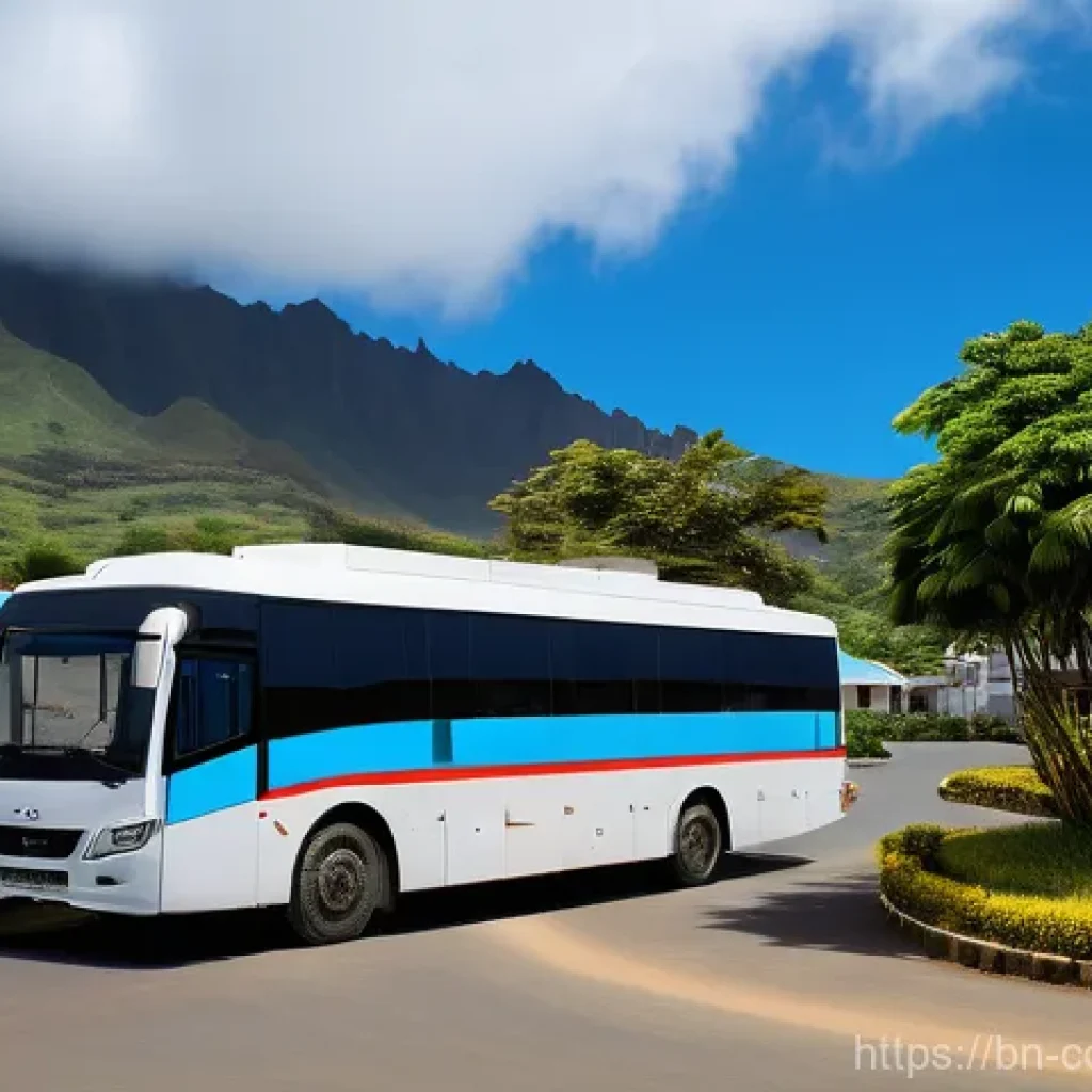 코모로 주요 병원 정보 - The search results provide some visual context for hospitals and patient transfers in Comoros. They ...