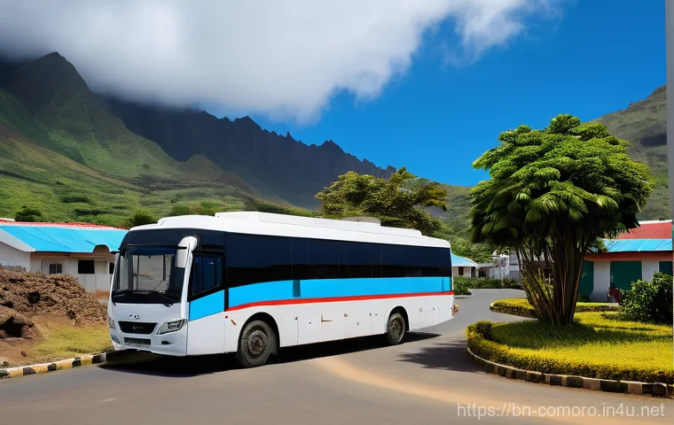 코모로 주요 병원 정보 - The search results provide some visual context for hospitals and patient transfers in Comoros. They ...