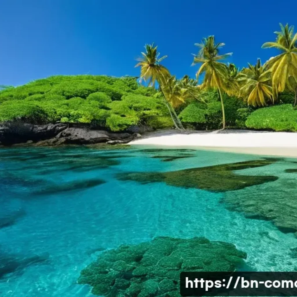 코모로 리조트와 해변 비교 - **Prompt 1: Serene Snorkeling at Nioumachoua Beach**
    A vibrant, high-definition image capturing ...