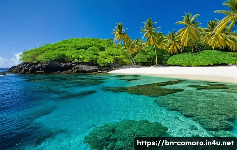 코모로 리조트와 해변 비교 - **Prompt 1: Serene Snorkeling at Nioumachoua Beach**
    A vibrant, high-definition image capturing ...