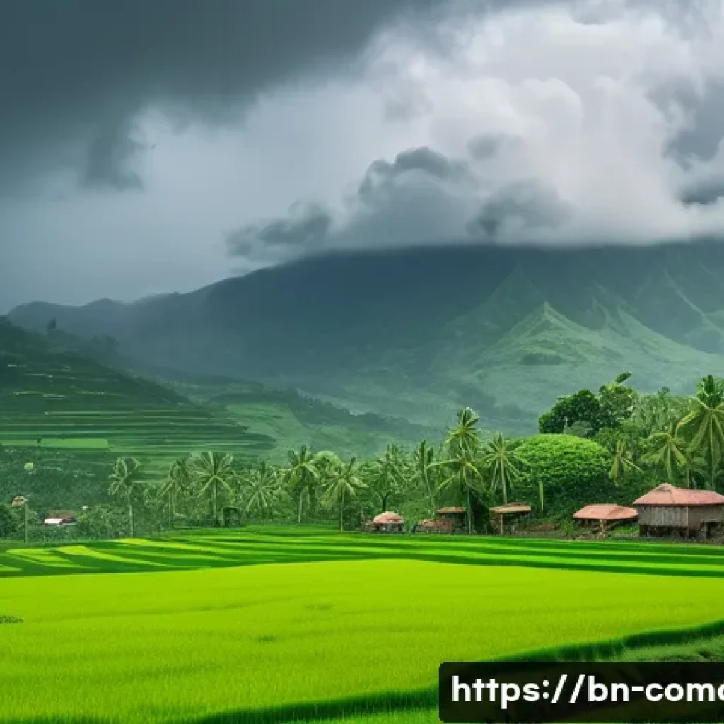 코모로 우기와 건기 차이 - A lush green Comoros island landscape during the rainy season, with vibrant tropical trees, rice pad...