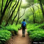 코모로 모헬리 섬 관광지 - A serene, dense forest scene in Maheli with lush green foliage, vibrant colorful birds chirping on t...