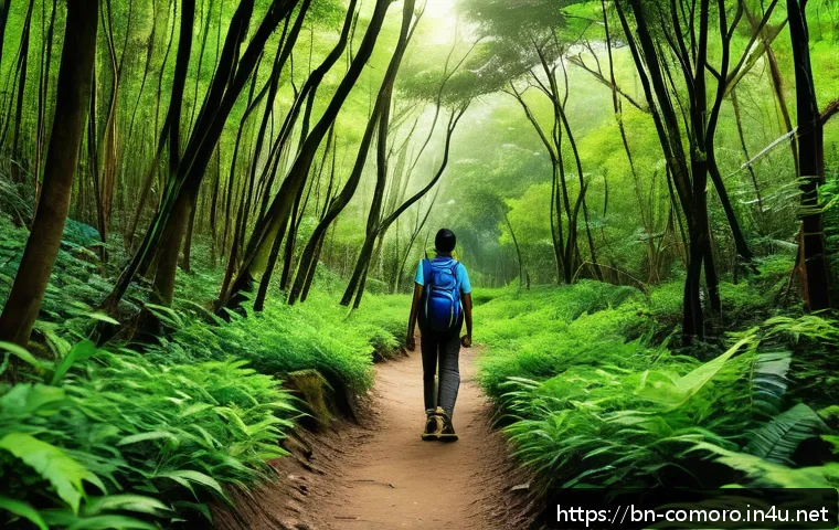 코모로 모헬리 섬 관광지 - A serene, dense forest scene in Maheli with lush green foliage, vibrant colorful birds chirping on t...