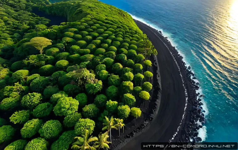 코모로 천연자원 현황 - Photorealistic aerial view of a lush ylang-ylang plantation on a volcanic Comoros island, neatly spa...